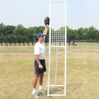 Sportpanel? Foul Poles