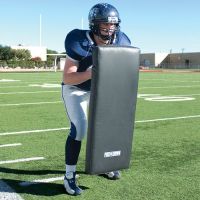 Pro-Down Pro Shield 16"X42" L
