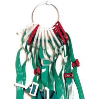 FLAG-A-TAG? Storage Rings