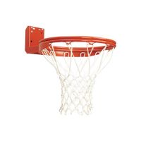 Bison Rear Mount Double Rim Goal