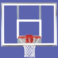 Bison Unbreakable Polycarbonate Backboard