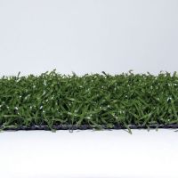 Action 35 Diamondturf 15'W x 70'L