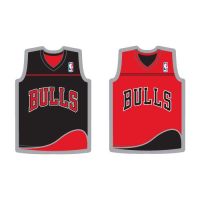 Bulls 2013