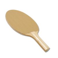 Gamecraft? Economy Sand Paper Face Paddle