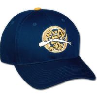 Riverdogs Minor League Cap