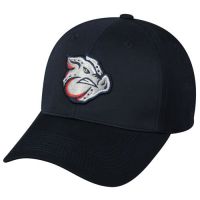 Iron Pigs Minor League Cap (Fall '09)