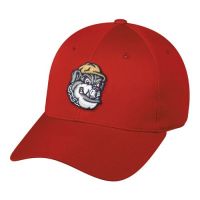 Scrappers Minor League Cap (Fall '09)