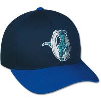 Raptors Youth Baseball Cap