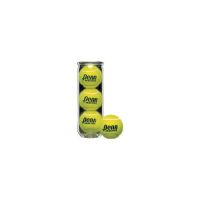 Penn Practice Tennis Balls - Case