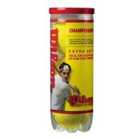 Wilson Championship Tennis Balls - Case