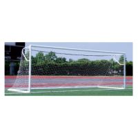 4" Euro Alumagoal