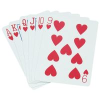 Standard Playing Cards - Pinochle